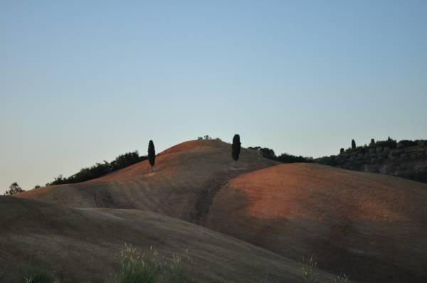 Parco di Canonica a 200 mt dall´Agriturismo IL TORRIONE