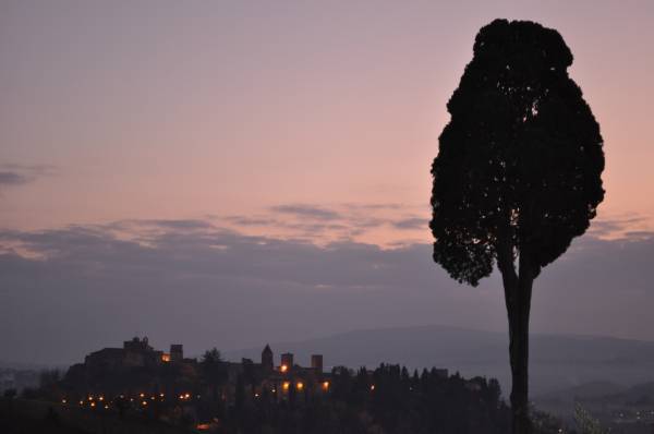 Vista dall´appartamento IL GLICINE