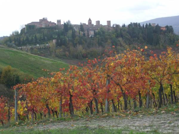 Loc. Torrione - vista su Certaldo Alto