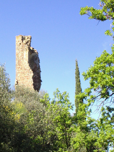 Rovine del Castello di Pogni